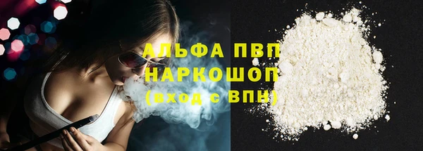 шишки Нея