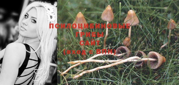 шишки Нея