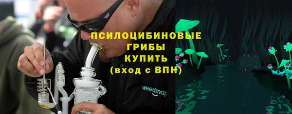 шишки Нея