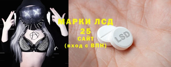 шишки Нея