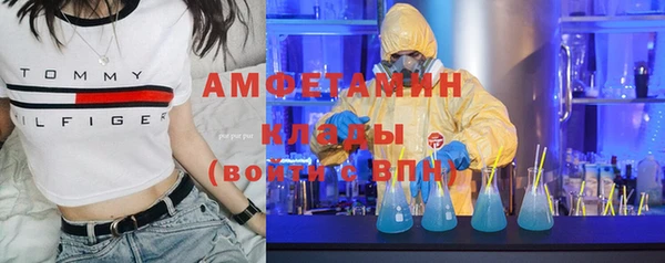 шишки Нея
