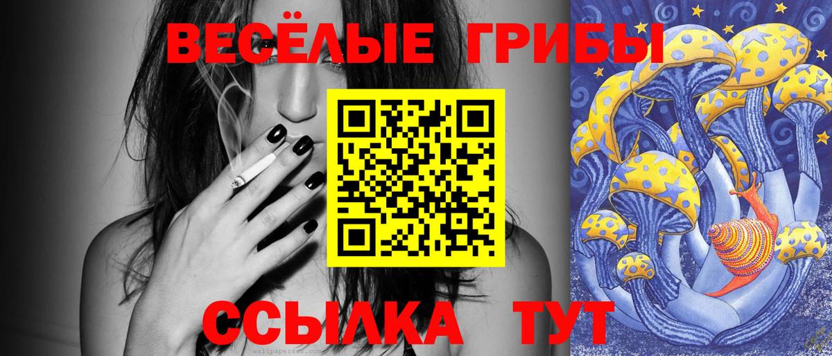 Псилоцибиновые грибы Psilocybine cubensis  Вход с VPN  Апатиты 