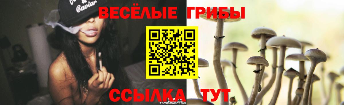 купить  сайты  Апатиты  Галлюциногенные грибы ЛСД 